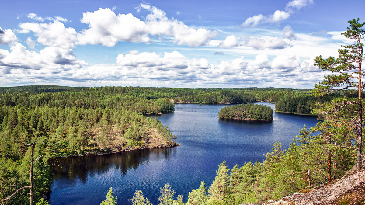 Mäntyharju-Repovesi maastopyöräreitti - Loma-Laurila